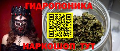 a pvp Будённовск