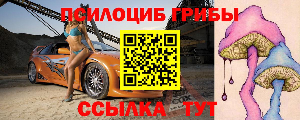 Псилоцибиновые грибы Cubensis Михайловка